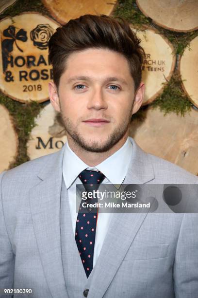 Niall Horan attends the Horan And Rose Charity Event held at The Grove on June 23, 2018 in Watford, England.