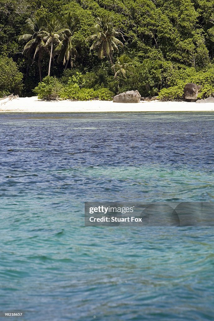 Idyllic beach with lush foliage in background, Seychelles