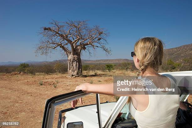 young woman next to motor vehicle looking at baobab tree, epupa falls area, kaokoland, namibia - acid trip stock pictures, royalty-free photos & images