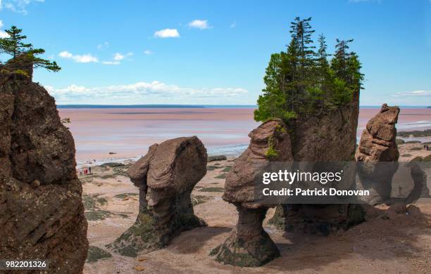 Hopewell Rocks Texture Hopewell Rocks Photos and Premium High Res Pictures - Getty Images