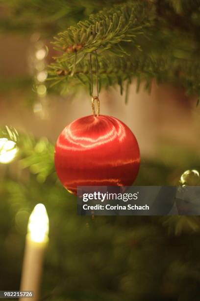 red christmas ball on christmas tree; rote weihnachtskugel an weihnachtsbaum - schach stockfoto's en -beelden