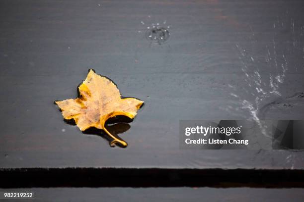 deciduous of tears - deciduous stock pictures, royalty-free photos & images
