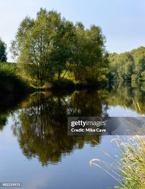 river tees at croft - tees river stock pictures, royalty-free photos & images