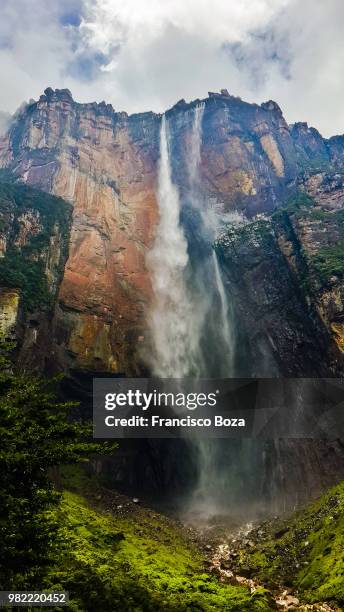 the angel falls in bolivar, venezuela - angel falls fotografías e imágenes de stock