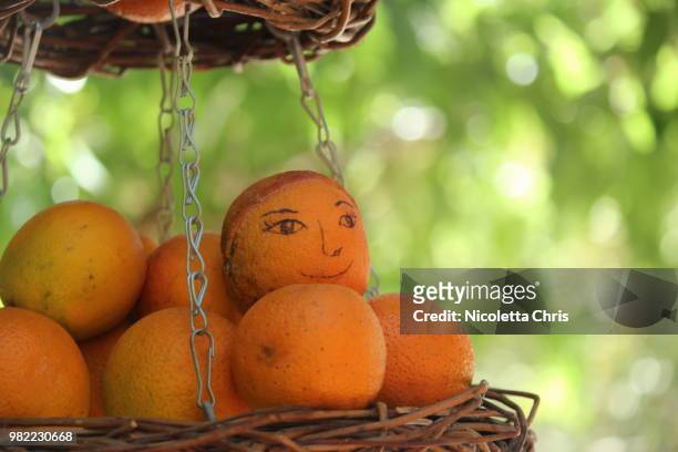 the face of an orange - nicoletta stock-fotos und bilder