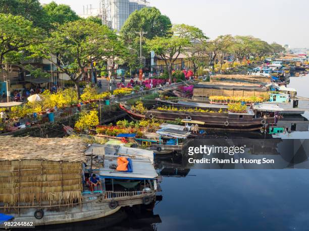 the flower market in ho chi minh city, vietnam. - saigon river fotografías e imágenes de stock