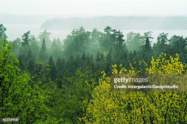 pacific northwest afternoon - north stock pictures, royalty-free photos & images