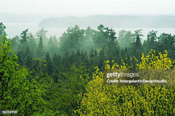 noroeste do pacífico tarde - seattle imagens e fotografias de stock