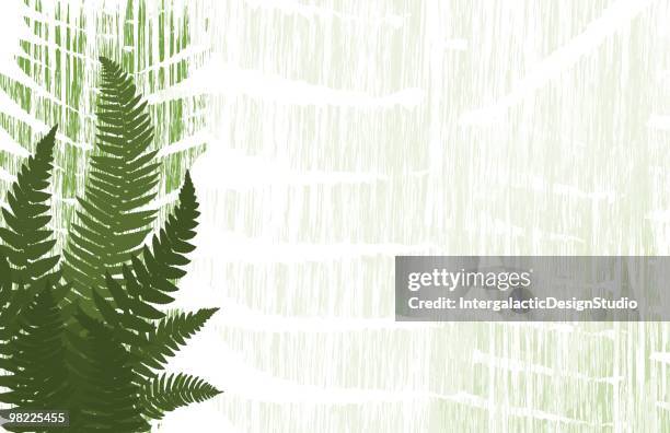 fern collage background - fern stock illustrations