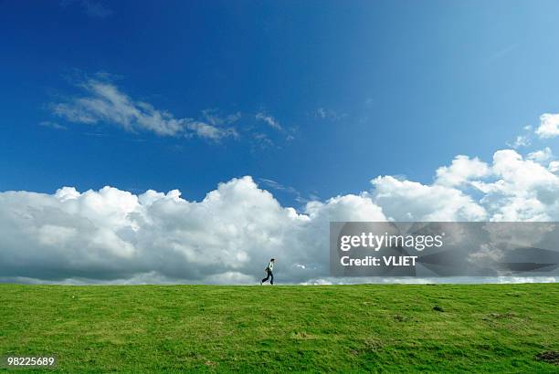 woman walking on a dyke - dyke stockfoto's en -beelden