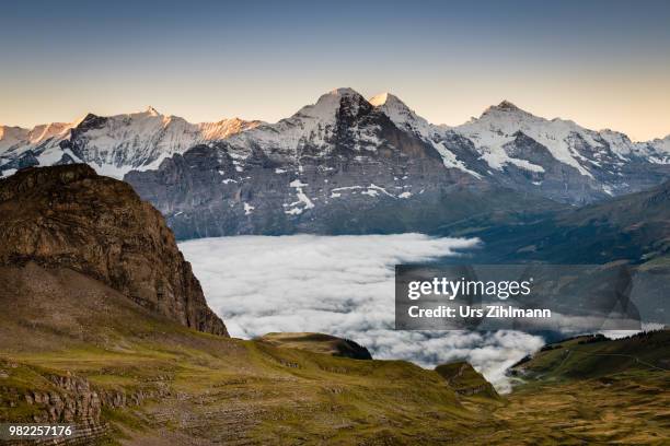 the bernese alps in grindelward, switzerland - berg mönch stock-fotos und bilder