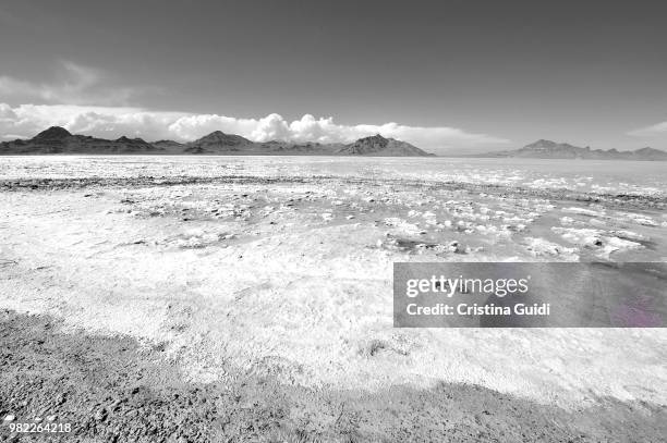 bonneville salt flats bw - cristina marino foto e immagini stock