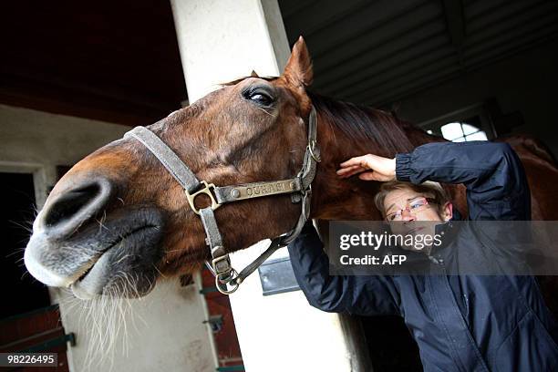 Picture taken on March 31, 2010 at the Gruchy stud farm in the Normandy region near Bayeux, shows Ourasi, retired French champion racing trotter,...