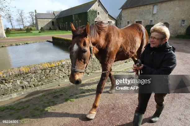 Picture taken on March 31, 2010 at the Gruchy stud farm in the Normandy region near Bayeux, shows Ourasi, retired French champion racing trotter,...