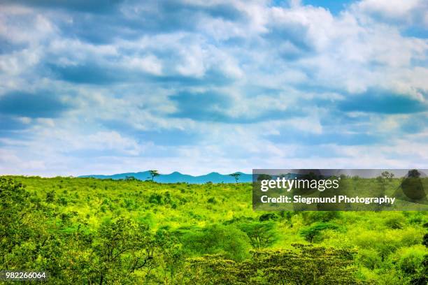 ngong' hills - ngong stockfoto's en -beelden