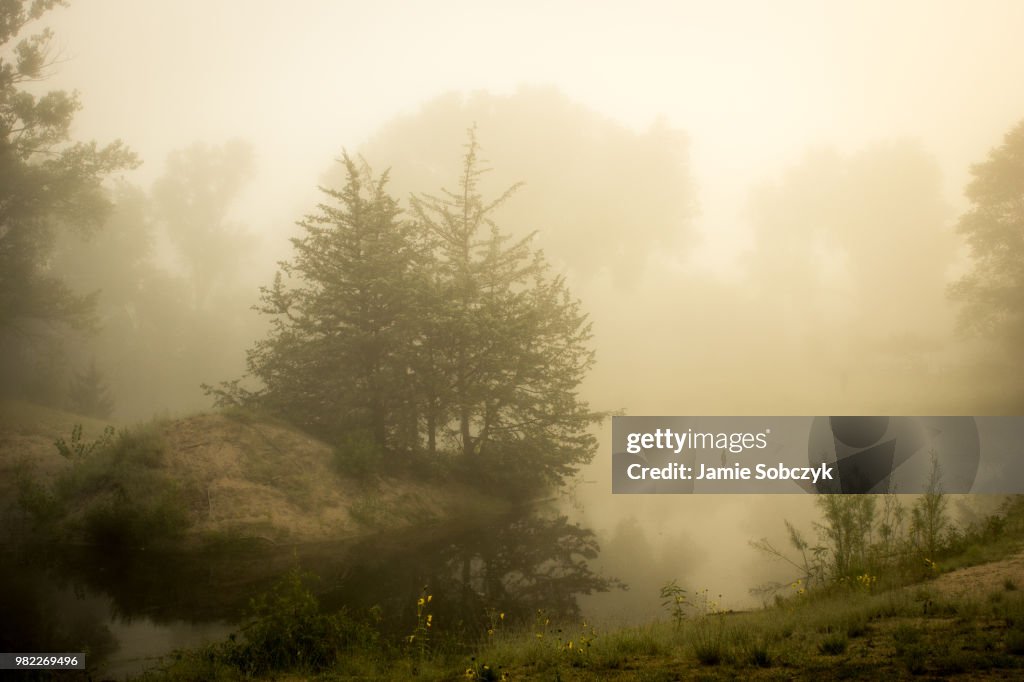 Fog Wrapped Island