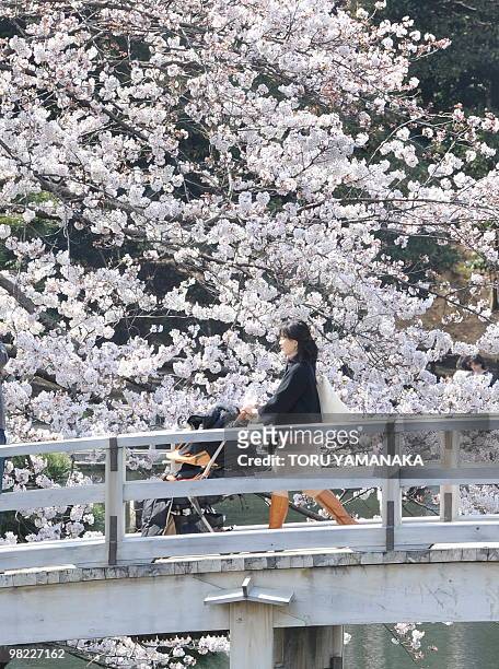 Mother strolls with her baby past cherry blossom in full-bloom at a park in Tokyo on April 3, 2010. Many Japanese people visited cherry blossom spots...