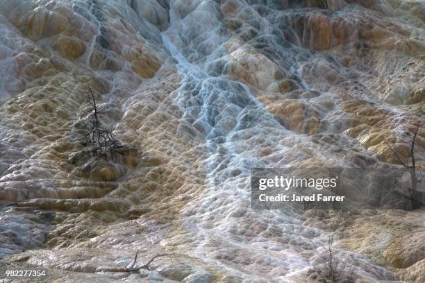 mammoth springs - 炭酸石灰 ストックフォトと画像