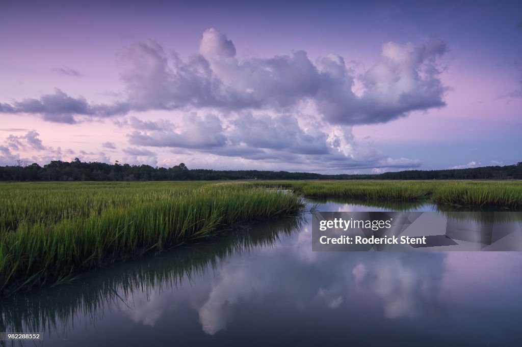 Dawn on the Marsh