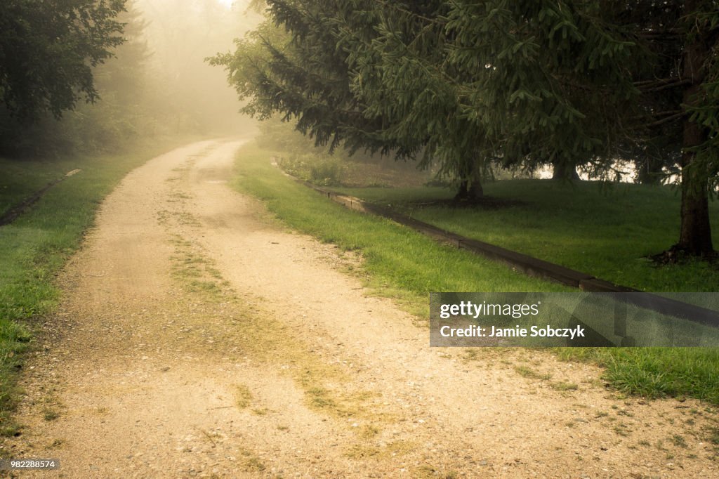 Road on Dan's Farm