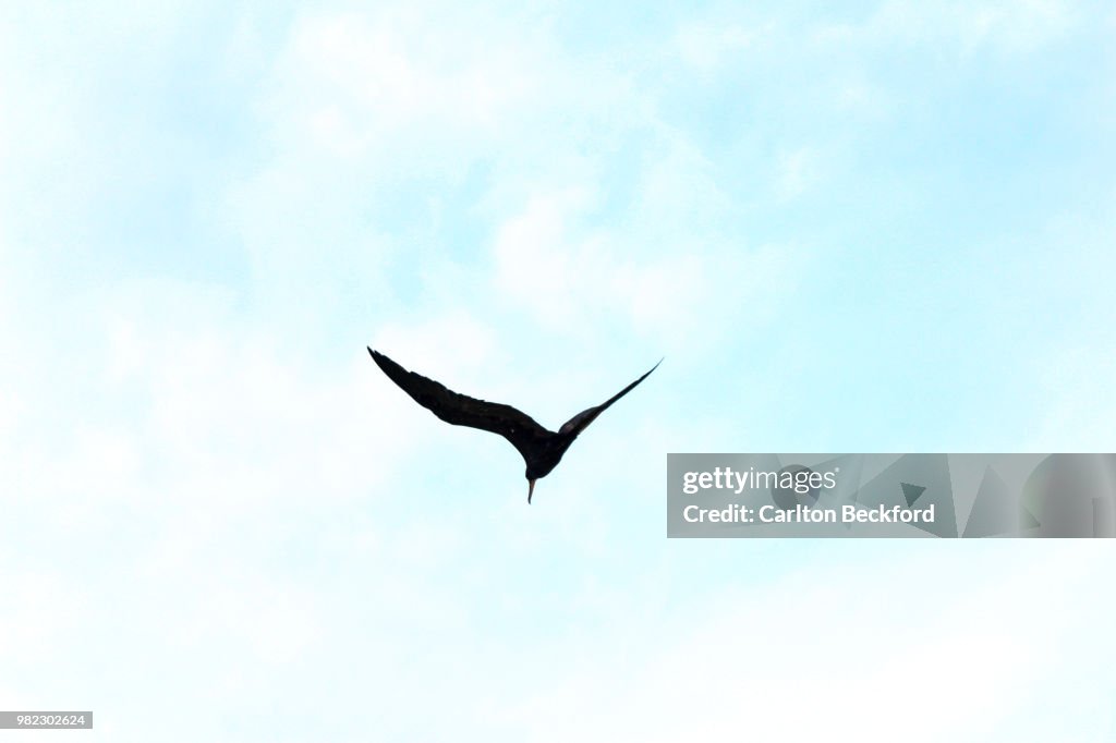 Hovering