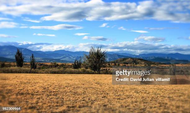 tatacoa desert - huila stock pictures, royalty-free photos & images