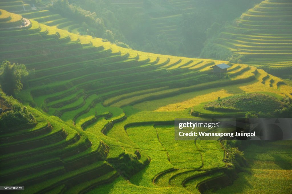 Tiered rice fields in Mu Chang Chai, Yen Bai, Vietnam