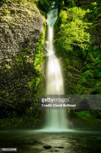 horsetail falls - horsetail falls stock pictures, royalty-free photos & images