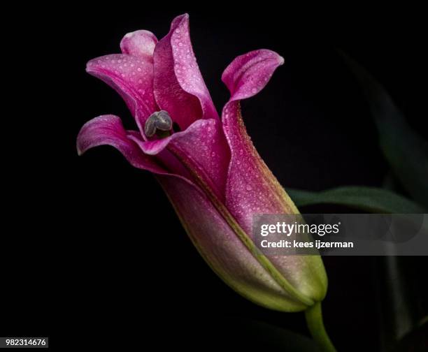 Ll1 Postcode 72 Ll1 Stock Photos, High-Res Pictures, and Images - Getty Images