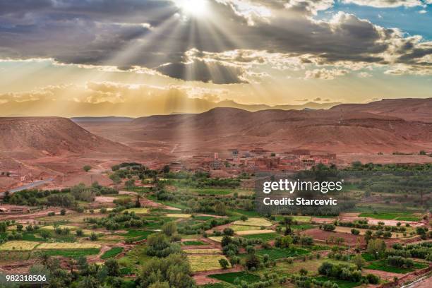 sunbeams over desert oasis in morocco - beautiful oasis stock pictures, royalty-free photos & images