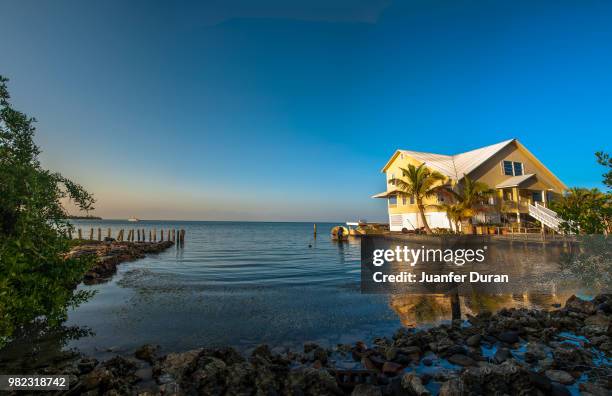 utila, islas de la bahia, honduras. - utila honduras stock pictures, royalty-free photos & images