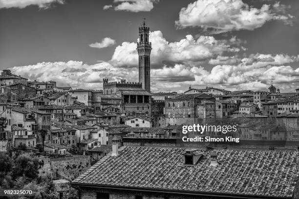 buildings in sienna, tuscany, italy - sienna king stock pictures, royalty-free photos & images