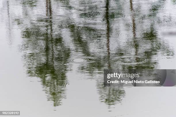 llueve en el lago - el fin stock pictures, royalty-free photos & images