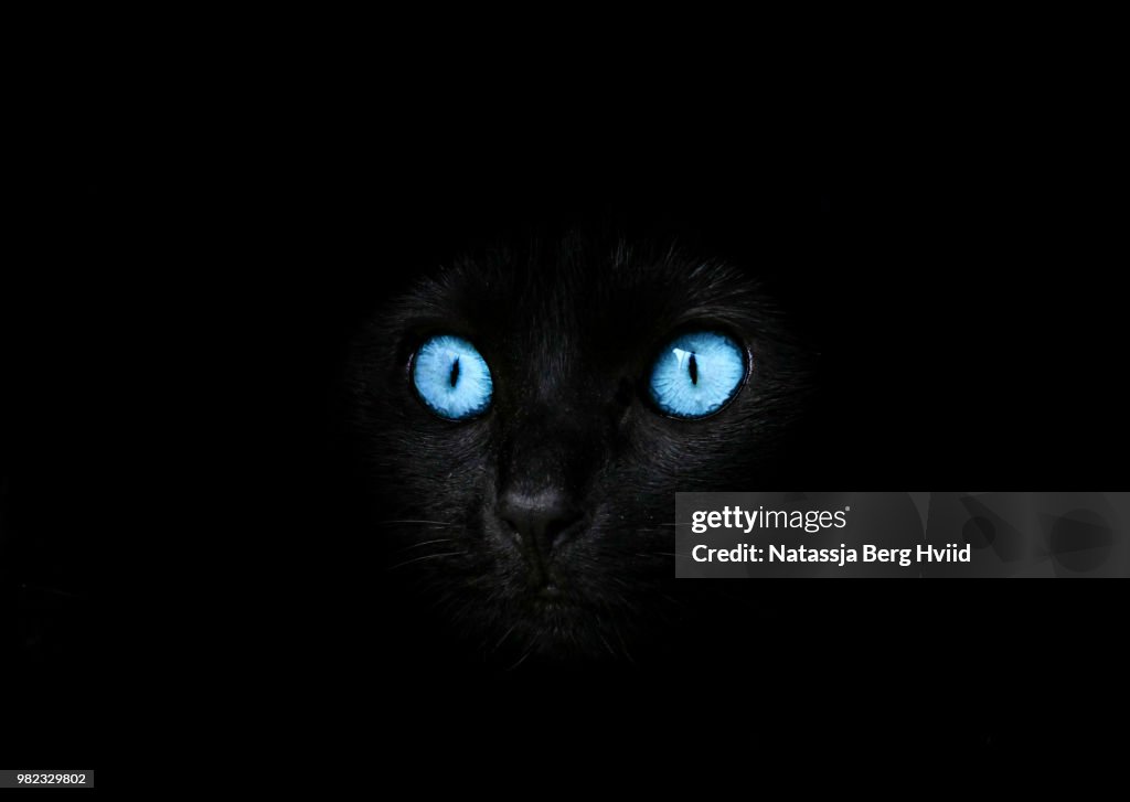 Diamond Eyes