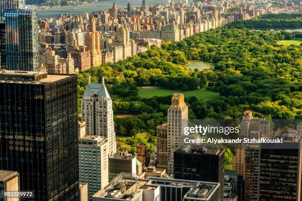 aerial view of central park in new york city, usa. - central park 個照片及圖片檔