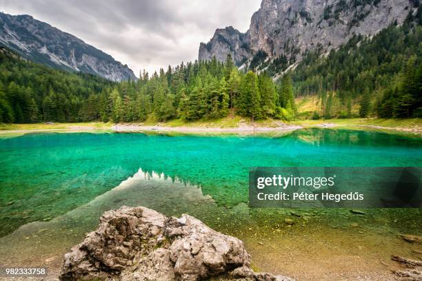 mountains and pine trees reflected in a lake in styria, austria. - grüner see steiermark stock-fotos und bilder