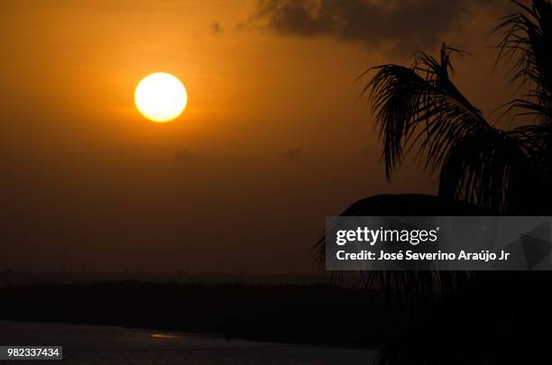 siluetas de fim de tarde - siluetas stock-fotos und bilder