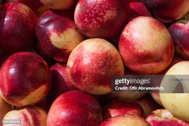 nectarines - nectarine stock pictures, royalty-free photos & images