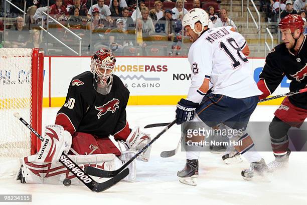Ilya Bryzgalov of the Phoenix Coyotes makes a save on Ethan Moreau of the Edmonton Oilers on April 3, 2010 at Jobing.com Arena in Glendale, Arizona.