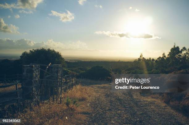 sardinian country road - peter lourenco stockfoto's en -beelden