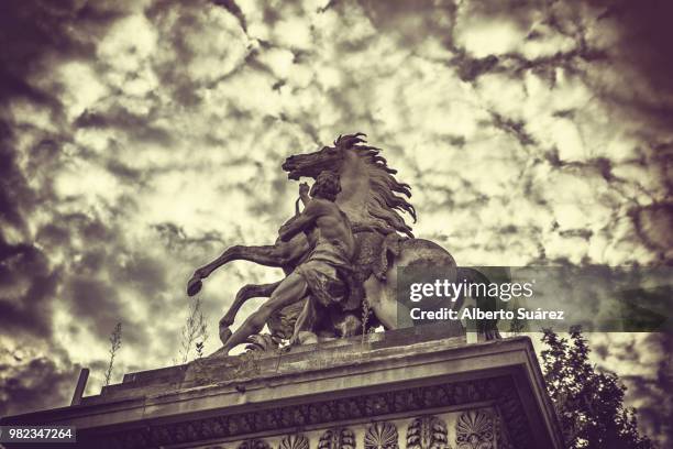 44 Marly Horses Stock Photos and High-Res Images - Getty Images