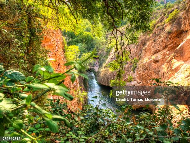 monasterio de piedra x - llorente stock pictures, royalty-free photos & images