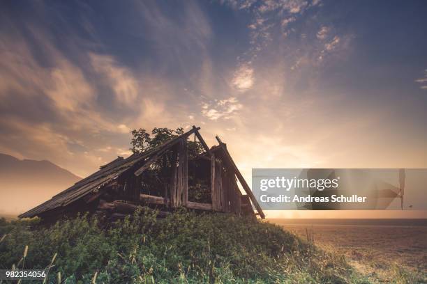 cottage and tree - schnuller stock pictures, royalty-free photos & images