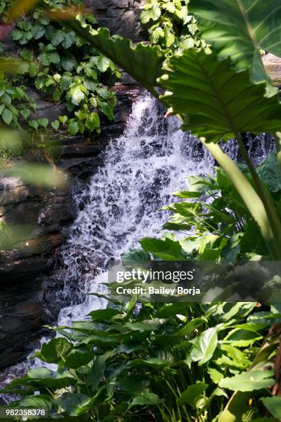 waterfall - bailey brooke 個照片及圖片檔