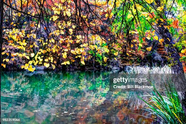 Lake Austin At Redbud Isle At Austin Texas High-Res Stock Photo
