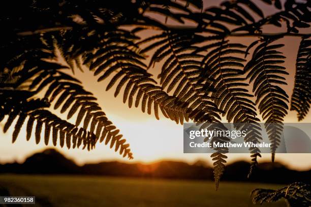 shelter - wheeler fields stock pictures, royalty-free photos & images