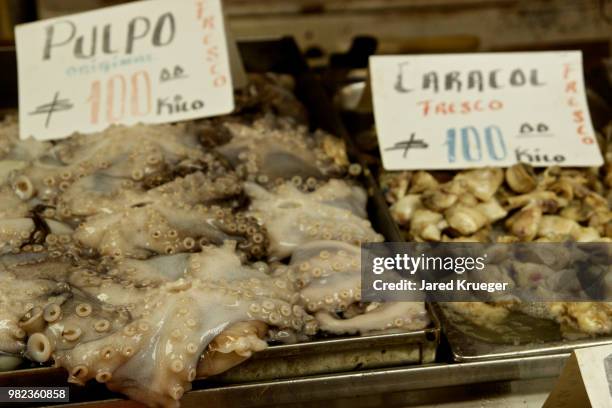 pulpo / octopus - pulpo stock pictures, royalty-free photos & images