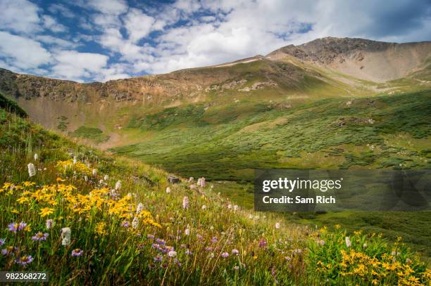 shelf lake - crassula stock pictures, royalty-free photos & images