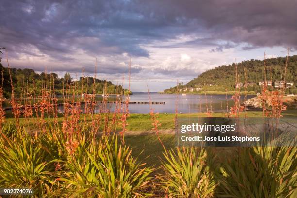 lake villarrica in pucon, chile - pucon stock pictures, royalty-free photos & images