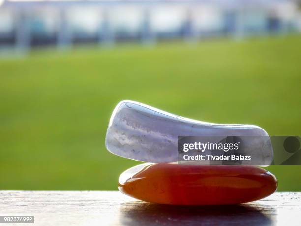 harmony - schistosoma mansoni stock pictures, royalty-free photos & images